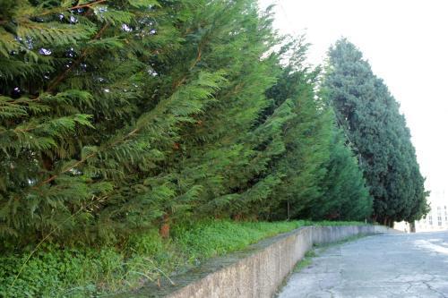 Apart-hotel San Michele Apartments&rooms Catanzaro